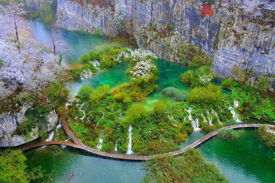 Perfecta Travel
