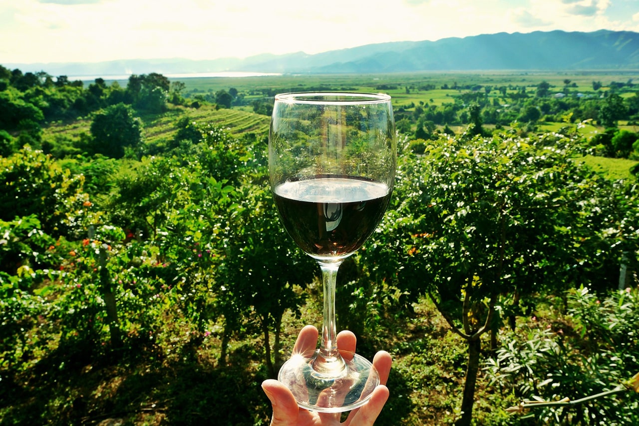 Perfecta Travel Wine tour Croatia & Slovenia itineraries image